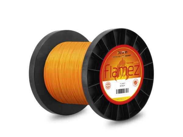 Delphin FLAMEZ - Image 2