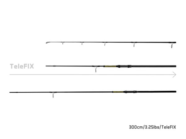 10+1 - Delphin STALX