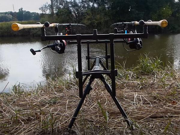 Rod pod Delphin BRONX